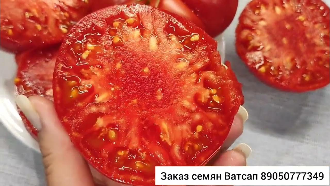 Я напишу тебе в ватсап. Я напишу тебе в ватсап