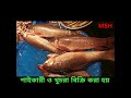 দেশি খাল-বিলের বিভিন্ন ধরনের তাঁজা মাছের ভিডিও #fish #lifeisbutadream #ihavethisthingwithplants