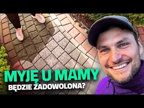 MAMA RECENZUJE moje mycie kostki brukowej z mchu | czyszczenie chodnika myjką Dibo | DOMINIK MALUJE