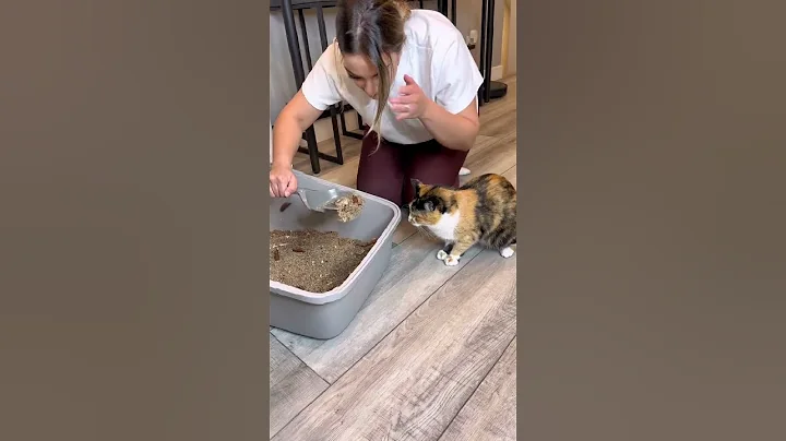 Kochen