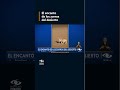 El zorro del Sahara que conquista las redes sociales