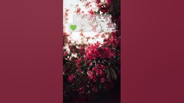 القرآن الكريم/ تلاوة / تلاوة خاشعة / تلاوة القرآن الكريم/ ترتيل القرآن/ الترتيل