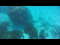 Video for "Bird Island", SEYCHELLES, VIDEO