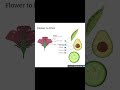 Seed Germination Explained  NEET Biology Short Notes🌿Learn everything about seed #germination #neet
