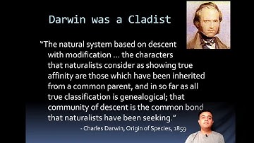 Phenetics vs. Cladistics: Introduction to Phylogenetics