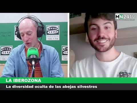 La Iberozona: La diversidad oculta de las abejas silvestres