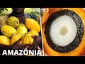 10 Frutas Brasileiras Mais DIFERENTES e CURIOSAS Nativas da Amazônia (Parte 2)