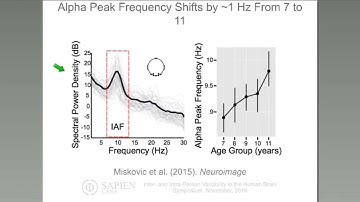 The Development of Intrinsic Cortical  Activity from Early to Late Childhood | Dr. Vladimir Miskovic