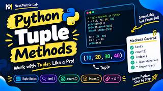 Mastering Python Dictionaries and Sets from Scratch for Absolute Beginners #pythonbeginner