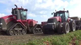 Tomato Harvest in Indiana