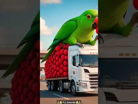 'The Parrot's Unexpected