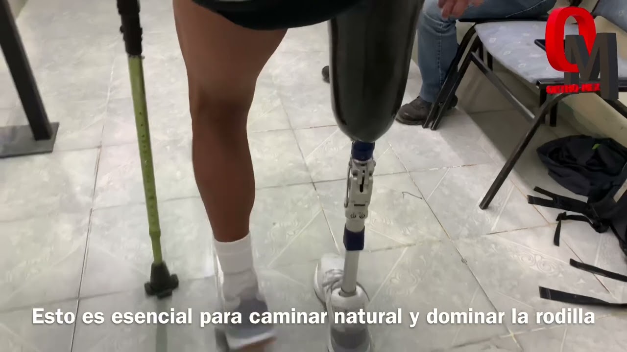 Rodilla neumatica 3r106 y pie Terion