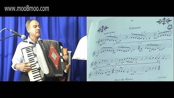 mooBmoo com Accordion E018