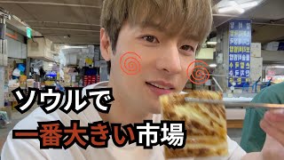 たかしvlog┃酔った姿を初めて公開..🤪┃韓国で一番大きな市場!?┃おいしいけど怖い韓国のお酒(マッコリ)┃경동시장┃안동국시