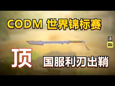 【使命召唤手游】2021世界锦标赛，中国战队加油，刀了他们！