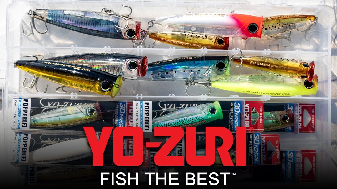 Yo Zuri Duel 3D Inshore Popper 90F Schwimmend Köder R1411-GHIW (0897