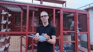 إنجاز تاريخي 💥 للبطل عادل السباعي 🏆 الرتبة التانية في مسابقة أوناغة داخل الفدرالية 🎖️ 