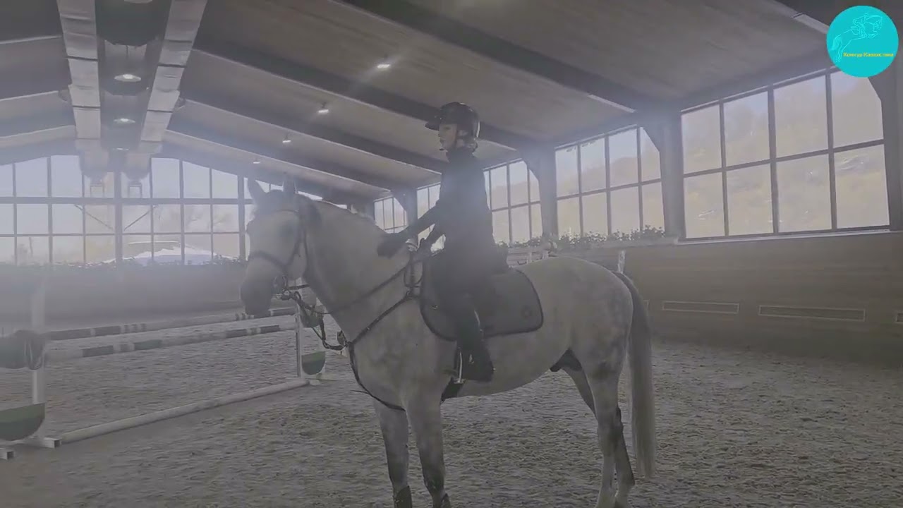 Ратмир и Инвиктус. Прыжковая тренировка. Кск Харагун. 07.01.25.Алматы.Тренер МС Ибрагимова Ясмин.