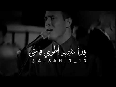 وطن أنجب عي
