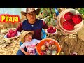 Cortando mi FRUTA FAVORITA en mi Lindo Pueblito CHEPETLÁN Oaxaca Pitaya de Mayo