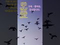 #유튜버로 #도전 #임재범 #비상 #shorts #song #korean #kpop #art a #blind #persona  #youtube #shorts #쇼츠 #가요