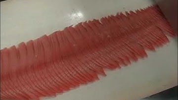 Nantsune NHS-200 Salmon Diagonal Slice