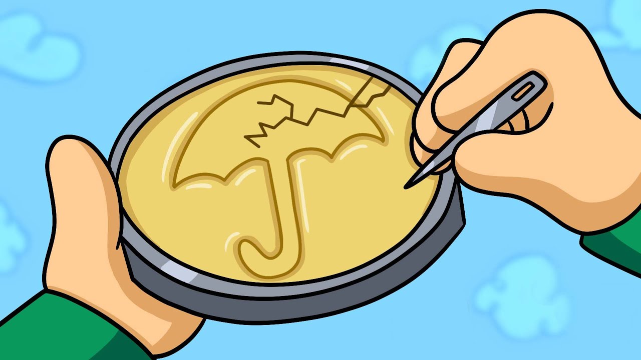 Squid Game Logic: Honeycomb | Cartoon Animation - YouTube