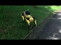 Robot Dogs Now Patrol Singapore to Tell People to Social Distance