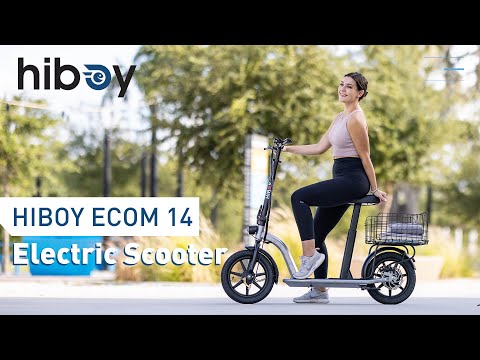 Hiboy ECOM 14