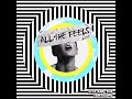 Fitz And The Tantrums I Just Wanna Shine Slowed 
