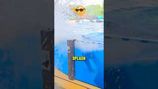 This Orca Did Something NO ONE Expected 🐋✨ #shorts #viralvideo #orca #wildlife