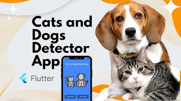 Part Three: Train Your Own Model - Cat & Dog Detection with Flutter