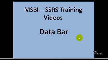 MSBI - SSRS - Data Bar