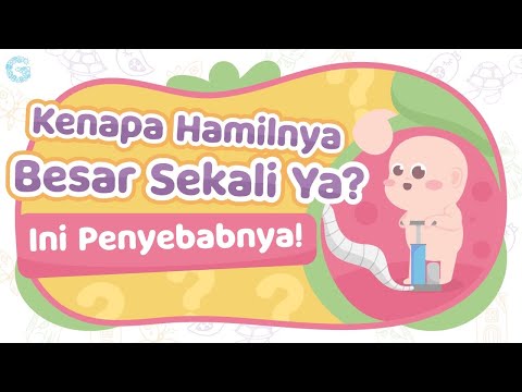 JIKA PERUT IBU HAMIL TERLALU BESAR, APA SEBABNYA?