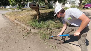 I CUT this RANDOM Overgrown Yard and turned it into a GEM - The Homeowner was STUNNED at the result