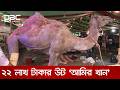 হাটে উঠেছে ‘আমির খান’ উট, দাম ২২ লাখ টাকা | DBC NEWS