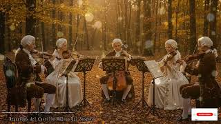 Celestial Harmony Under The Night Sky Gentle Ambient Music For Meditation And Deep Sleep