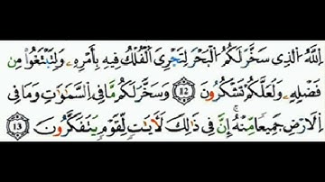 سوره الجاثية الايه ١٢ إلى الايه ١٦ ..للشيخ المنشاوى