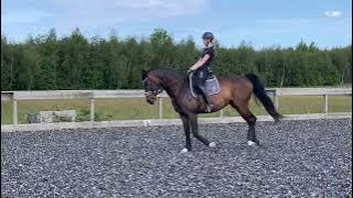 Quenny Zarina - Salgsvideo