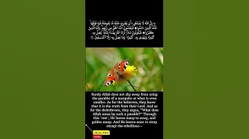 Thumbnail of Listening to the Quran recited by Saad Al-Ghamdi feels like a peaceful journey for the heart 🌙📖✨