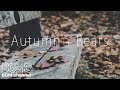 🍁Autumn + Jazz Beats - Chill Out Jazz Café Hiphop Lounge - Slow Sweet Jazz Beats Music