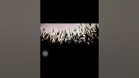 تلاوه هادئه وعذبه تنسيك هموم الدنيا - من سورة الحجر - بصوت عمير شميم