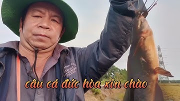 câu cá đêm ở bình hòa Nam đức huệ