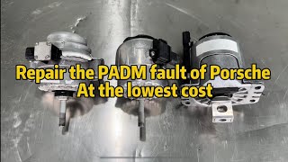 Repair the PADM fault of Porsche at the lowest cost