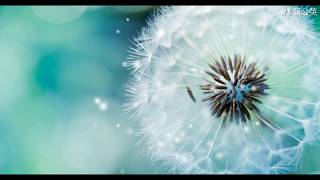 top-15-wallpaper-engine-2019-free-zip-download