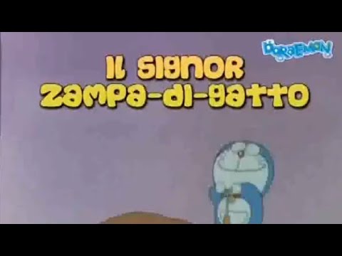 Video: Zampa Di Gatto