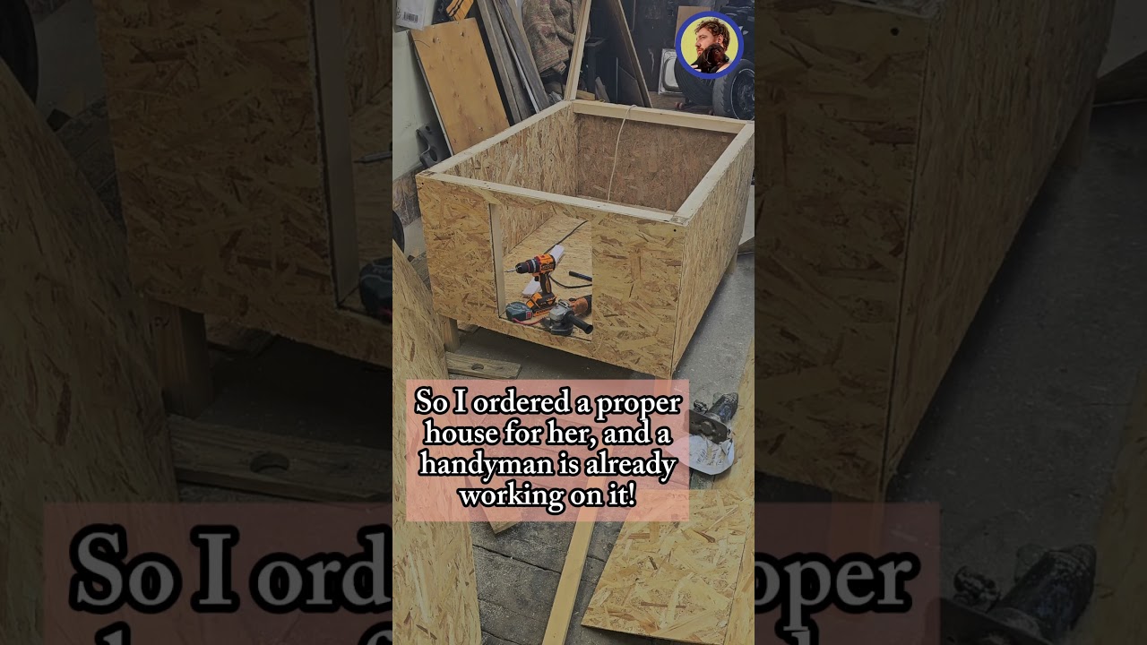 I can't pay for the house for my rescued dogs in my home shelter