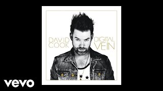 Video thumbnail of "David Cook - Wicked Game (Audio)"
