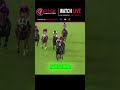 🚨🚨🚨 We called Bobby Dassler at 13.00 odds BEFORE the race ✅#PaceAnalyzer #HorseRacing