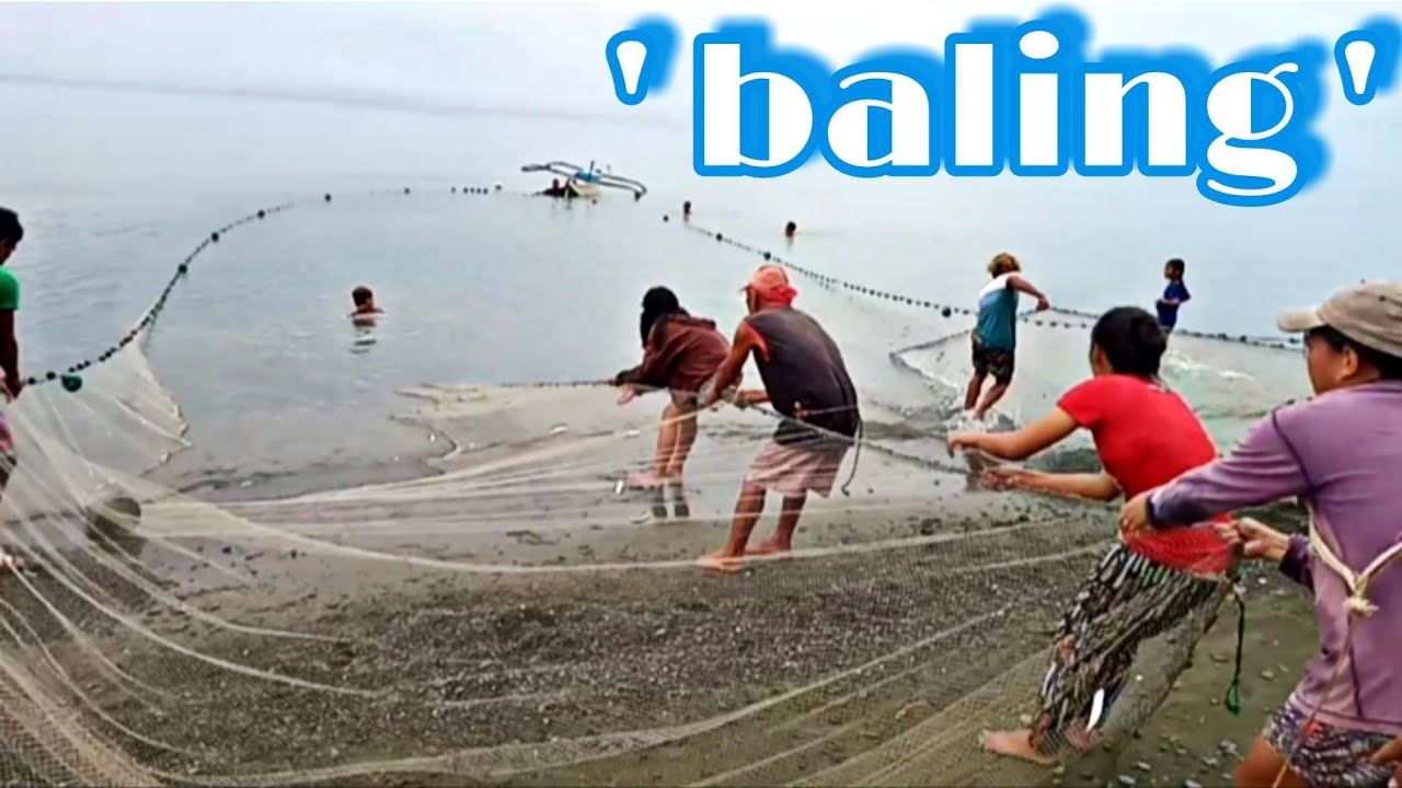 Traditional Net Fishing in Philippines ( Baling ) - YouTube